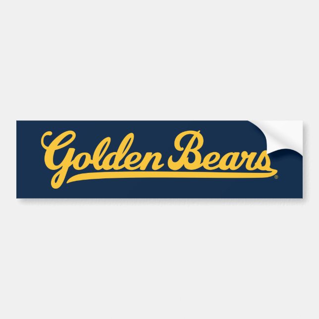 Cal Golden Bears Gold Script Bumper Sticker (Front)