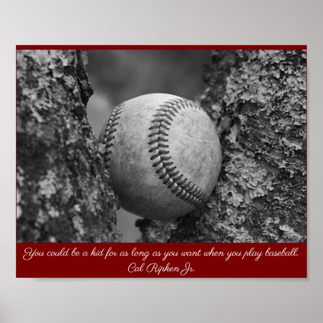 Cal Ripken Baseball Poster (Front)