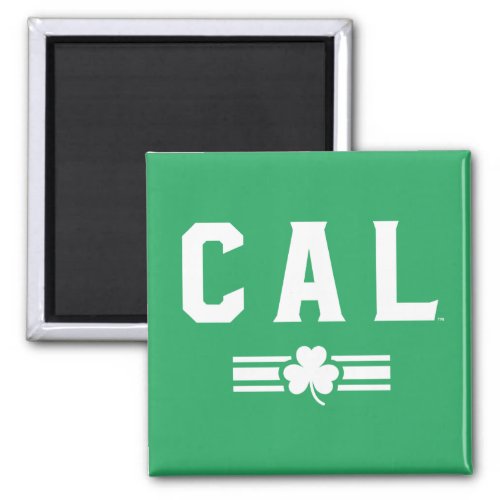 Cal  St Patricks Day _ Lucky Stripe Magnet