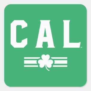 Cal St. Patrick's Day - Lucky Stripe Square Sticker