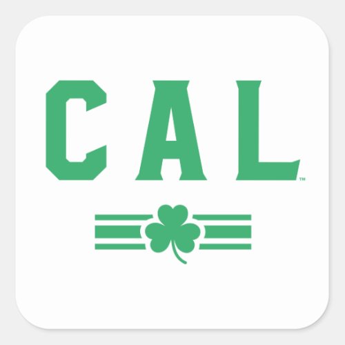Cal  St Patricks Day _ Lucky Stripe Square Sticker