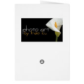 Cala Lily Cards (Back)