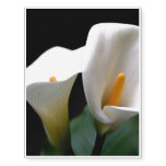 Cala Lily Temporary Tattoos