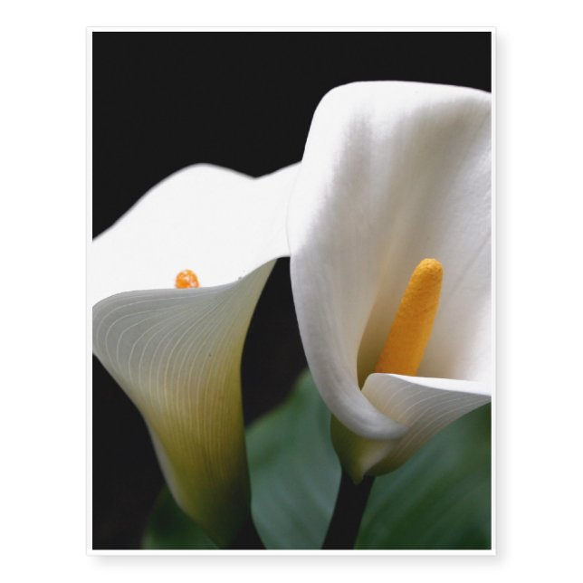 Cala Lily Temporary Tattoos (Front)