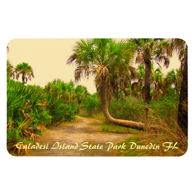 Caladesi Island Dunedin Fl Flexi Magnet (Horizontal)