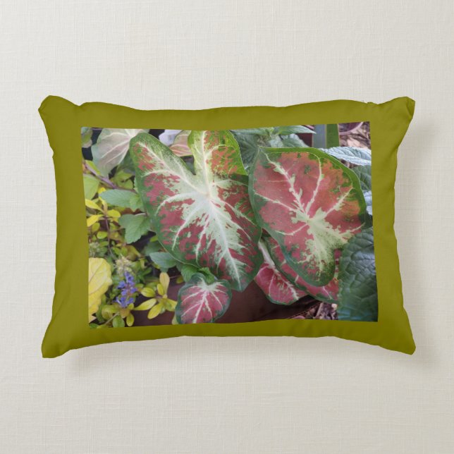 Caladium Garden  Accent Pillow (Front)