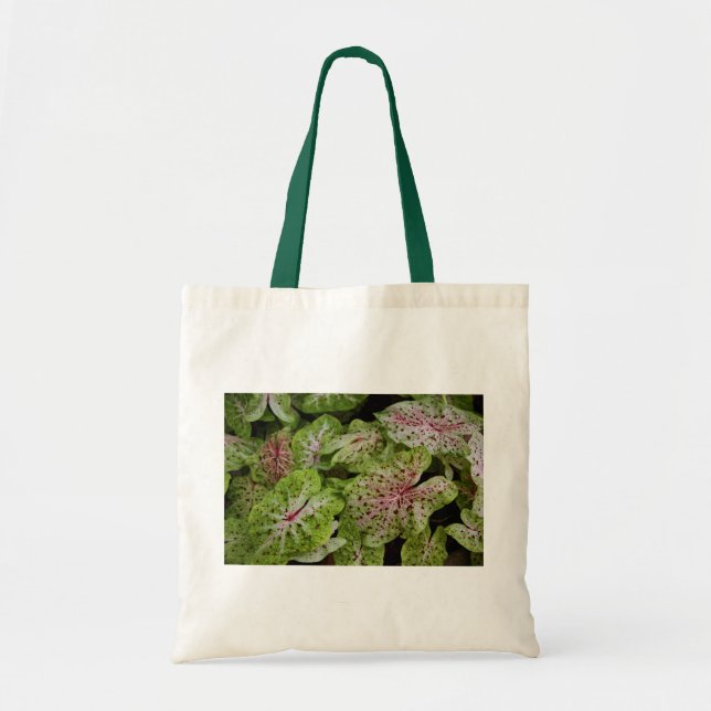 Caladium Gingerland Tote (Front)