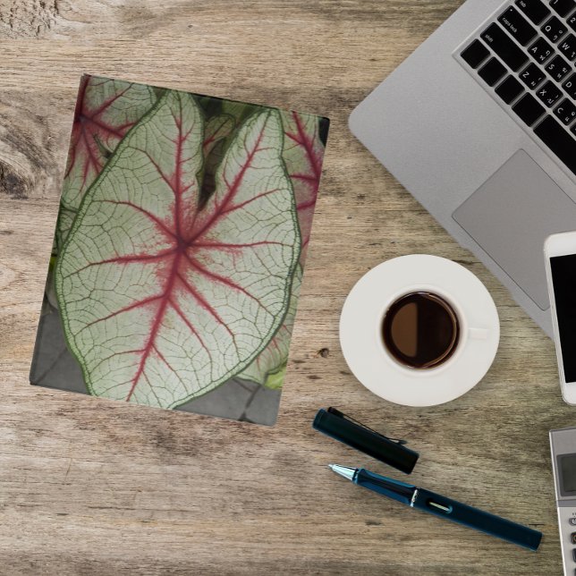 Caladium Leaf Pattern Floral Mini Binder (In Situ)