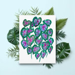 Caladiums Pink & Green Leaves Watercolor Art Postcard<br><div class="desc">Are you a fan of caladiums? Send these colorful watercolor leaves to your friends and family. Add your own text!
Thanks for shopping my art! Check out my other postcards and items and be sure to tag me on instagram @shoshannahscribbles</div>