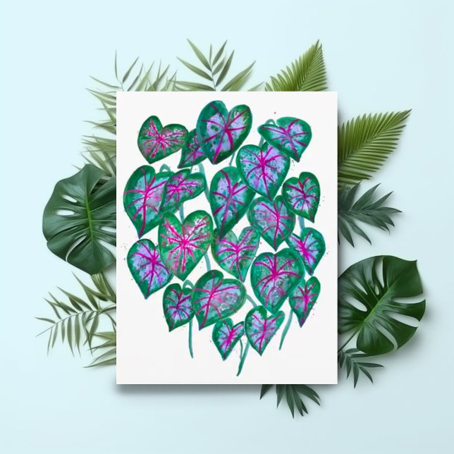 Caladiums Pink & Green Leaves Watercolor Art Postcard (Colorful watercolor caladium leaves postcard. Customize with your own text.)