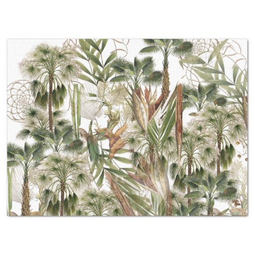 Calamus Palm Tree Fronds Leaves Fruit Tissue Paper
