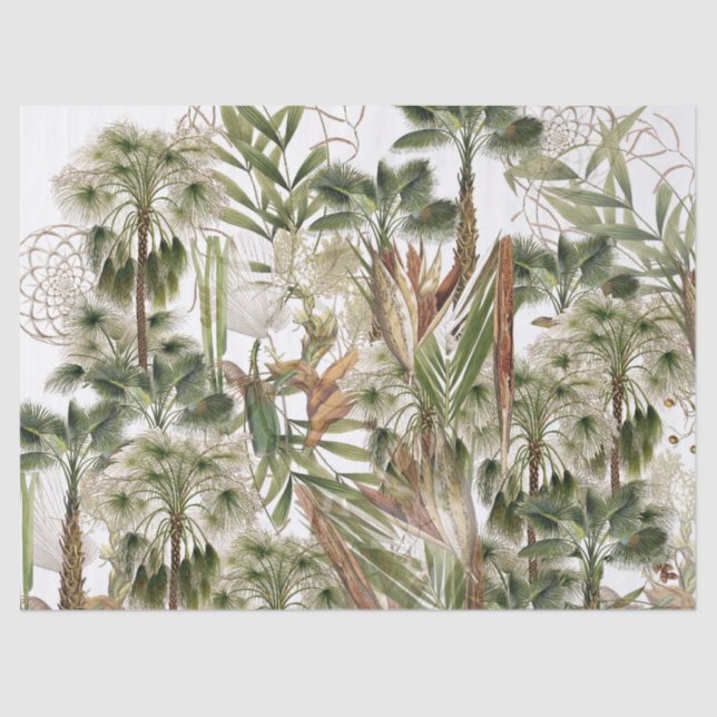 Calamus Palm Tree Fronds Leaves Fruit Tissue Paper (Front)