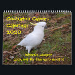 Calandar 2020 - Cockatoo Capers Calendar<br><div class="desc">Some fantasy pictures created from my photography.Find the Cocky in each one.</div>