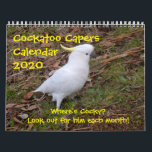 Calandar 2020 - Cockatoo Capers Calendar<br><div class="desc">Some fantasy pictures created from my photography.Find the Cocky in each one.</div>