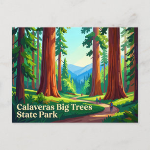 Calaveras Big Trees State Park California Postcard