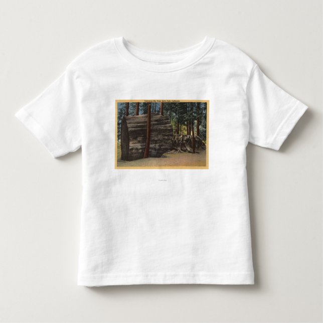 Calaveras Big Trees State Park Toddler T-shirt (Front)