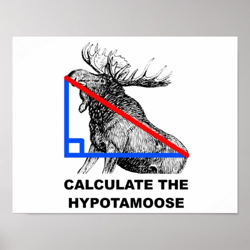Calculate the Hypotamoose Funny Poster