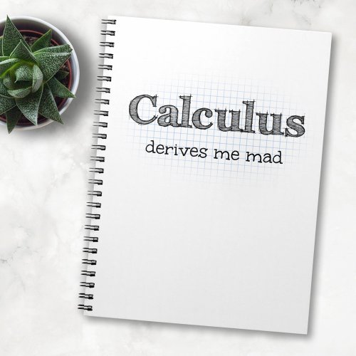 Calculus Derives Me Mad _ Funny Math Notebook