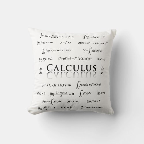 Calculus Equations Throw Pillow