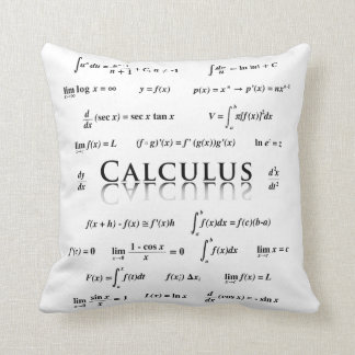 Calculus Equations Throw Pillow