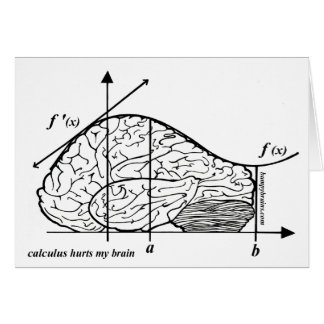 Calculus Hurts my Brain Cards