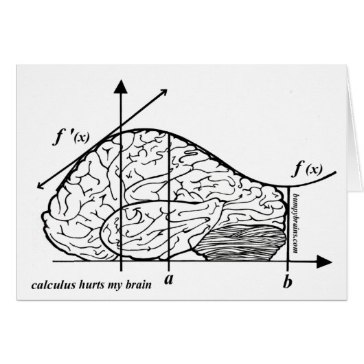 Calculus Hurts my Brain Cards (Front Horizontal)