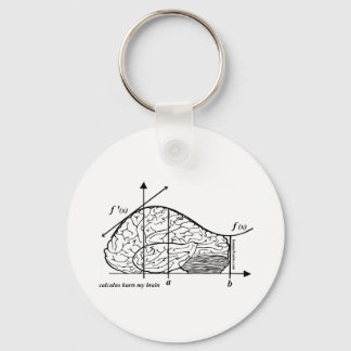 Calculus Hurts my Brain Keychain