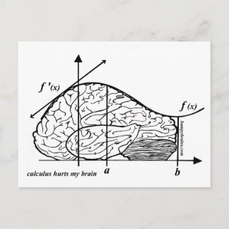 Calculus Hurts my Brain Postcard