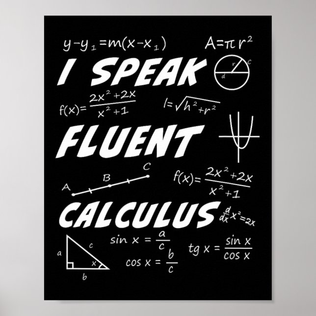 Calculus Pi Day Algebra Geometry Trigonometry Stud Poster (Front)