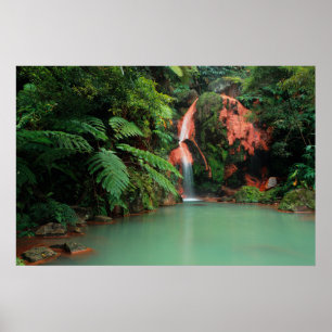 Caldeira Velha Park, Azores Poster