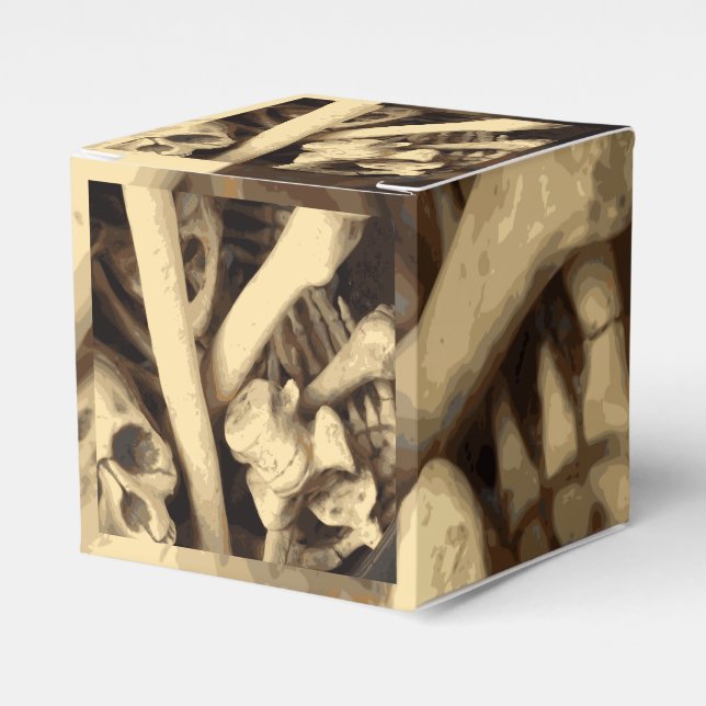 Caldron of bones. Favor Box (Front Side)