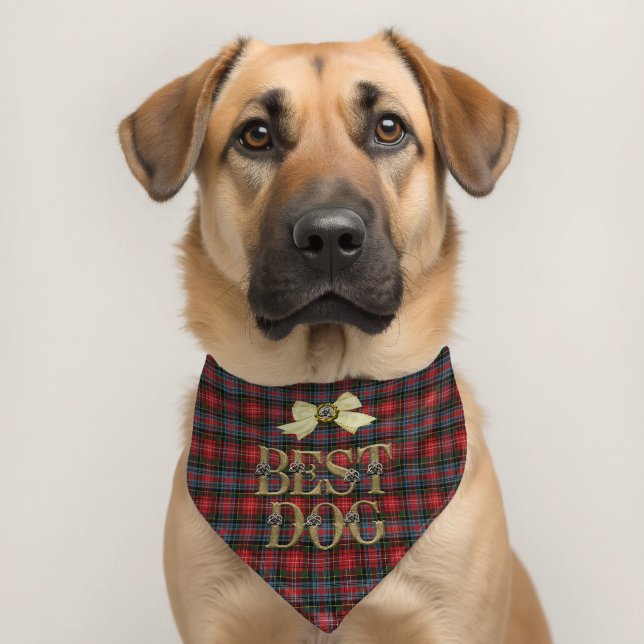 Caledonia Modern Original Scottish Tartan Pet Bandana Collar (Dog 2)