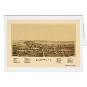 Caledonia, NY Panoramic Map - 1892 Cards