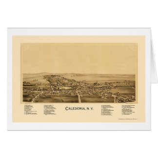 Caledonia, NY Panoramic Map - 1892 Cards