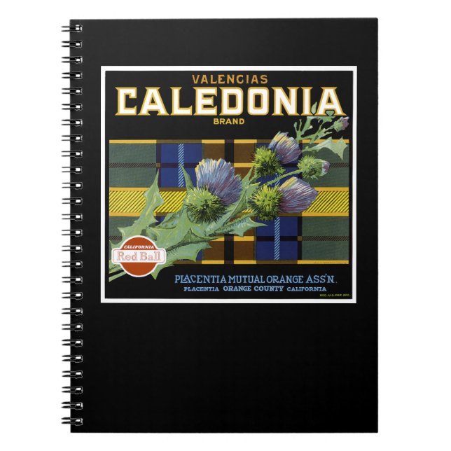 Caledonia Orange Label Notebook (Front)