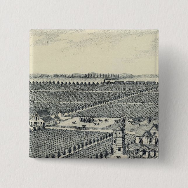Caledonia Vineyard County, Fresno Pinback Button (Front)