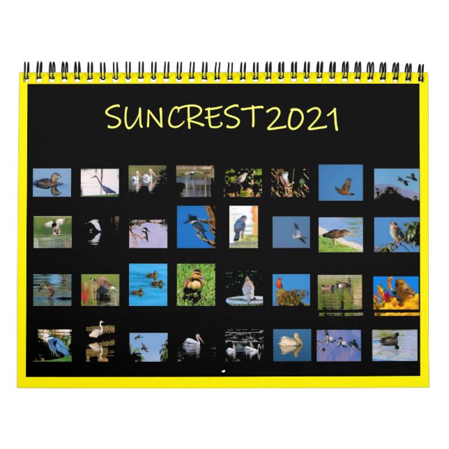Calendar (Cover)