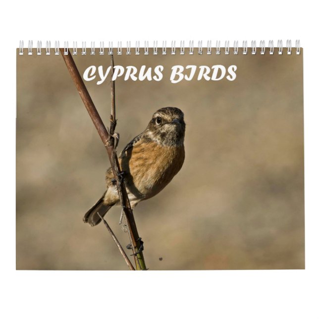 Calendar (Back)