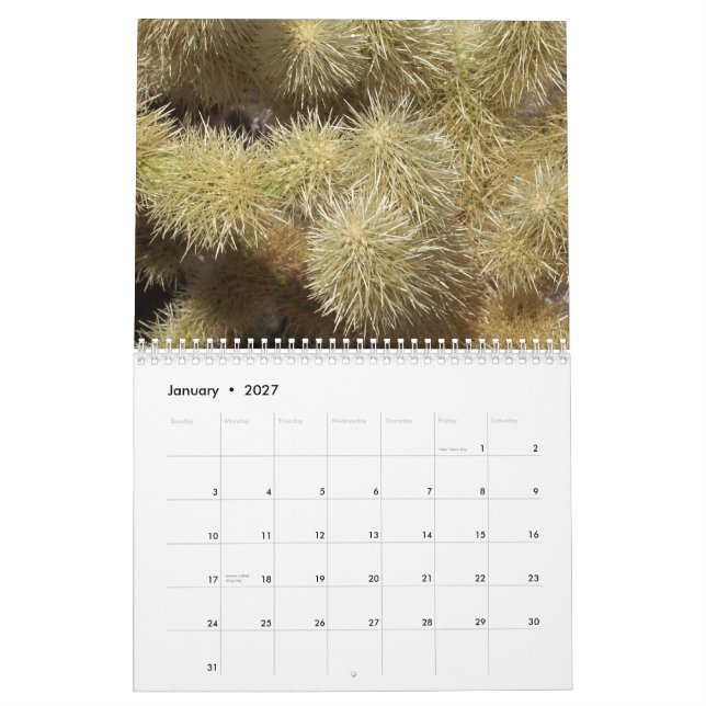 Calendar (Jan 2027)
