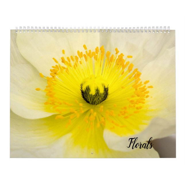 Calendar (Cover)
