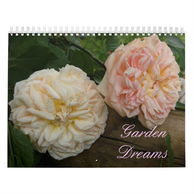 Calendar 18 month (Cover)