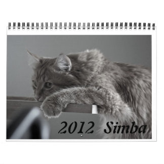 Calendar 2012 Cat