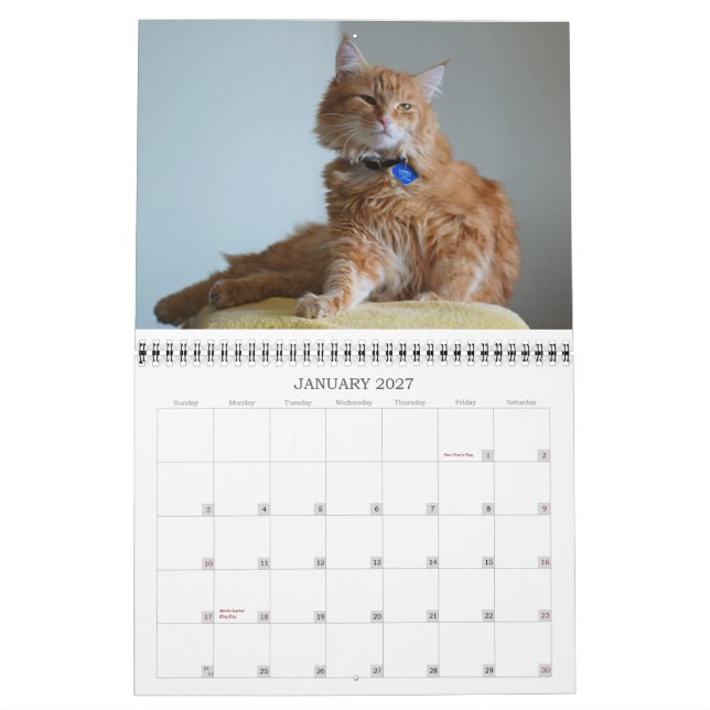 Calendar 2012 Cat (Jan 2027)
