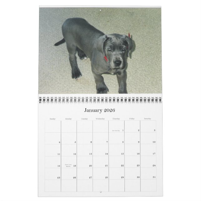 Calendar 2012 van SundayStyle Edition (Jan 2026)