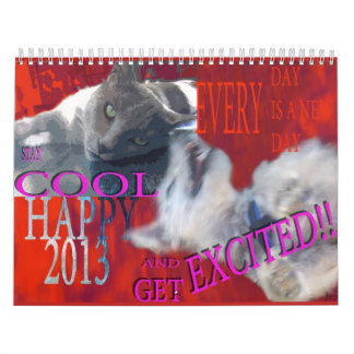 CALENDAR 2013,FUNNY PETS GRAPHICS,MONTHLY PLANNER