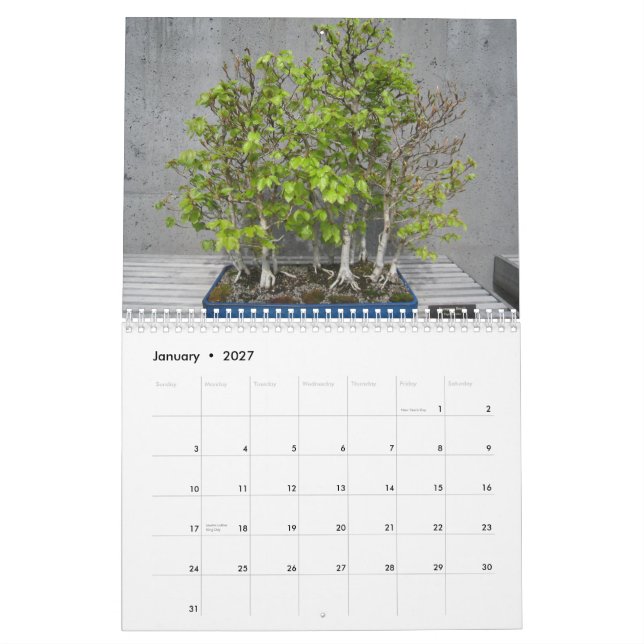 Calendar 2015 with Bonsai (Jan 2027)