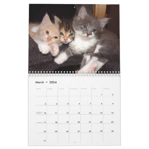 Calendar 2016 With Holidays - Cats | Zazzle