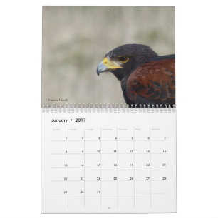 Calendar 2017 - Birds of North America