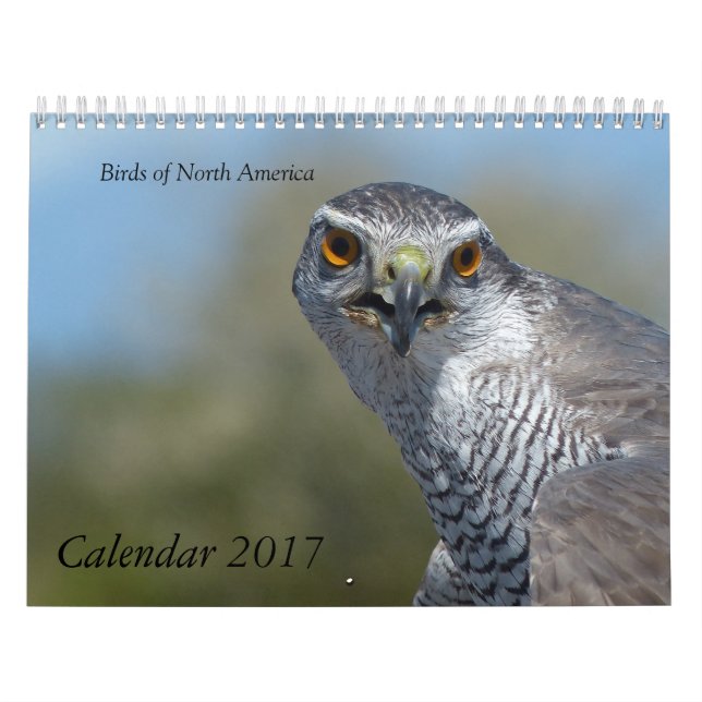Calendar 2017 - Birds of North America (Cover)