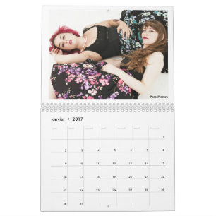 Calendar 2017 “Owlies "